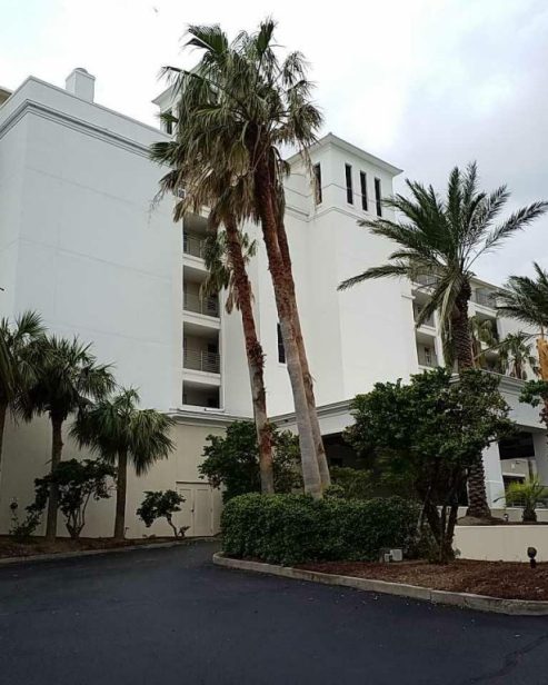A Palm Tree In Front Of A Building