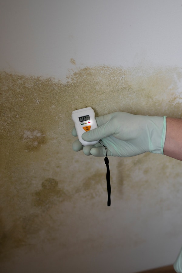 Mold inspection and testing by Royal Restoration for property management in Birmingham, AL