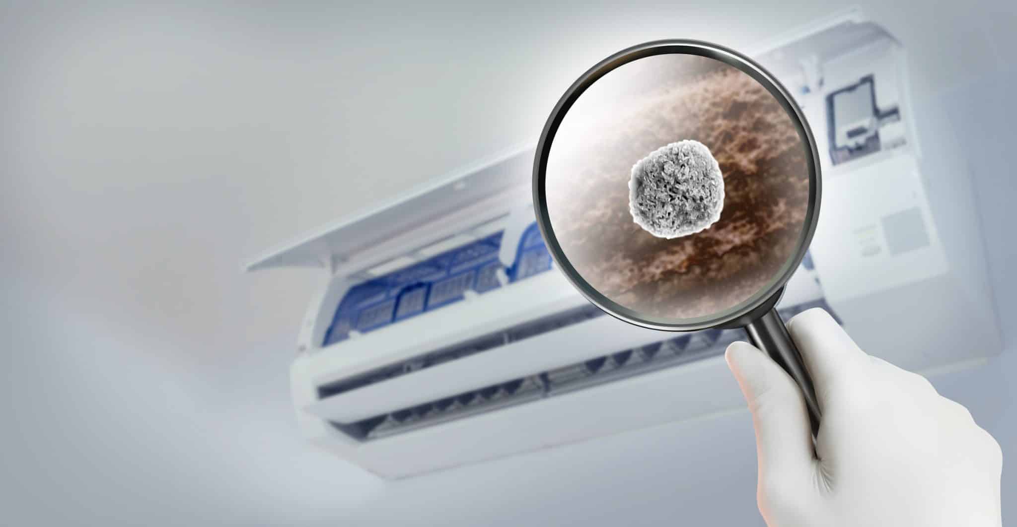 Look through the magnifying glass to the Particle of dust and dirt inside of an air conditioner.