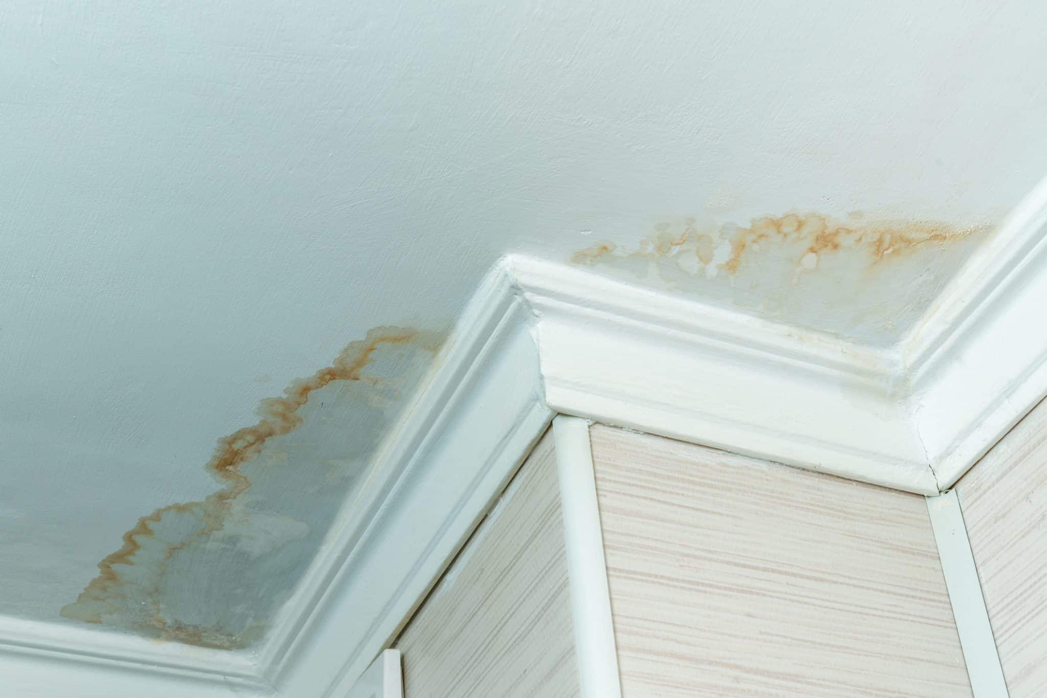 Photo of a discolored ceiling corner where a water leak has caused mold to grow
